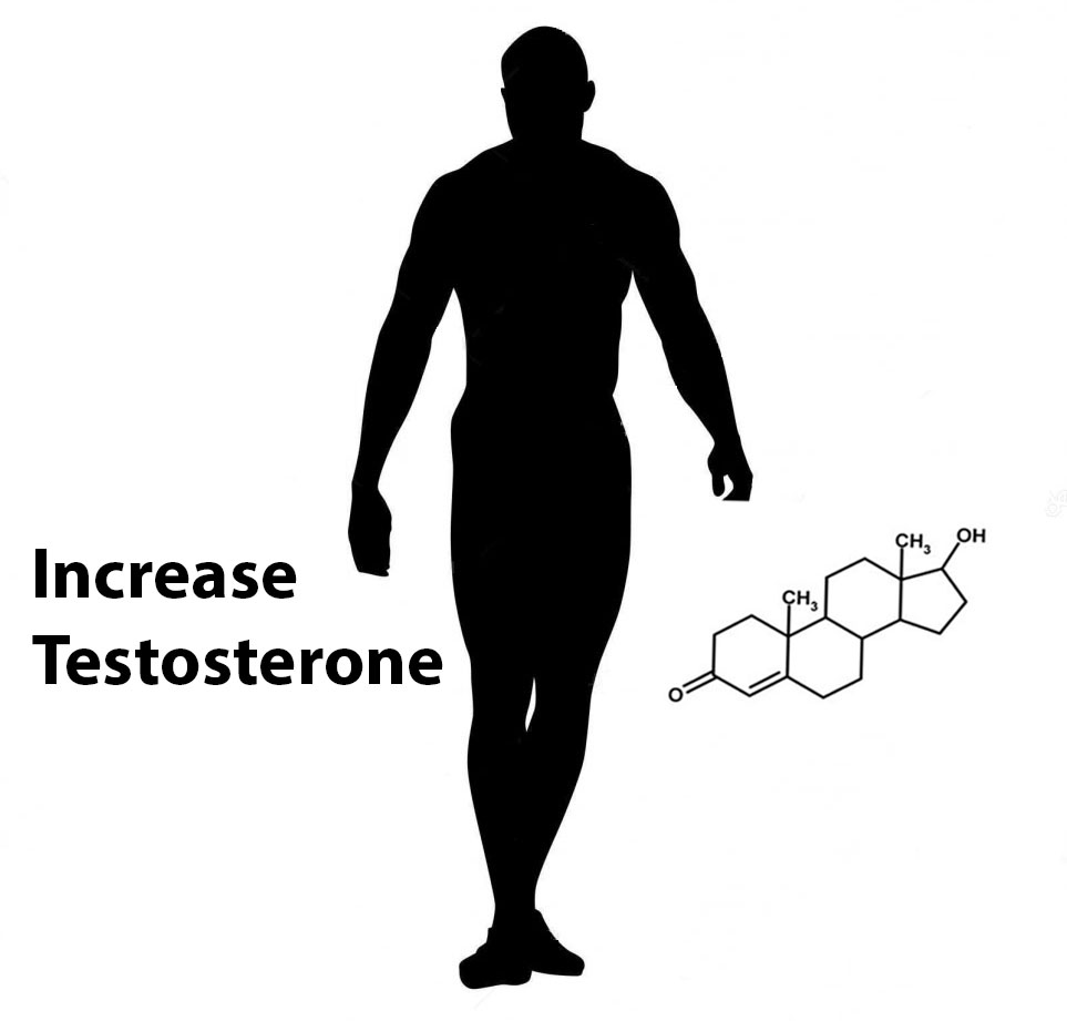 cara meningkatkan hormon testosteron